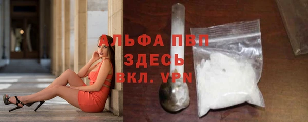 стаф Саяногорск