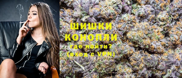 шишки Семилуки