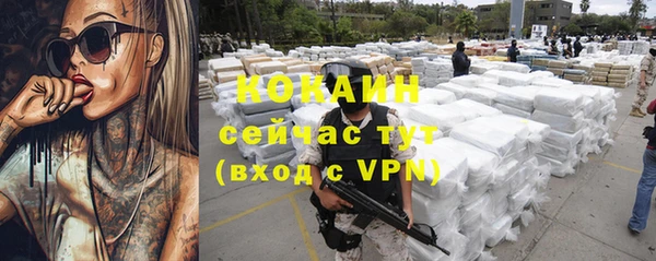 шишки Семилуки