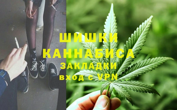 стафф Семёнов