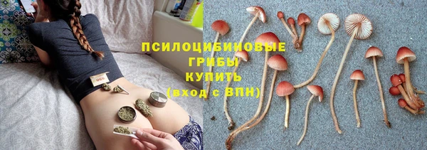 дмт Сафоново