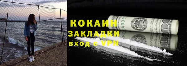 шишки Семилуки